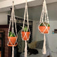 Macrame Plant Hanger Baskets Flower Pots